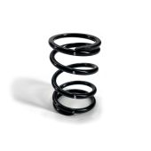 SPRING,CLUTCH-WHT STRIPE-50/250 LB 0646-439