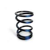 SPRING,CLUTCH-BLUE STRIPE-36/236 LB 0646-926