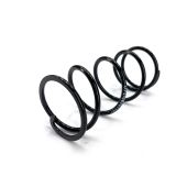 SPRING,DRIVEN-180/240 LB 0648-876