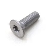 SCREW,MACH-TSFH-M8X1.25X25 10.9-RIE SIL