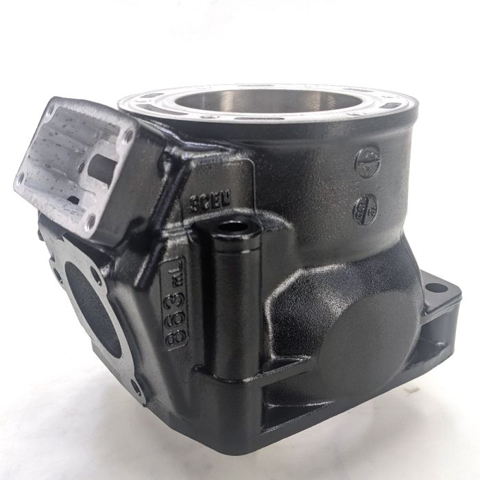 Arctic Cat, CYLINDER ASSY 3006-391, 2003 ZR 900